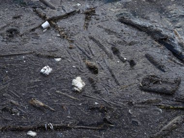 Çöp, plastik, çöp, kirli deniz.