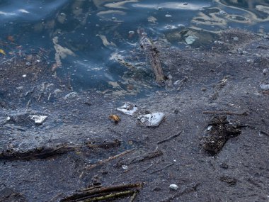 Çöp, plastik, çöp, kirli deniz.