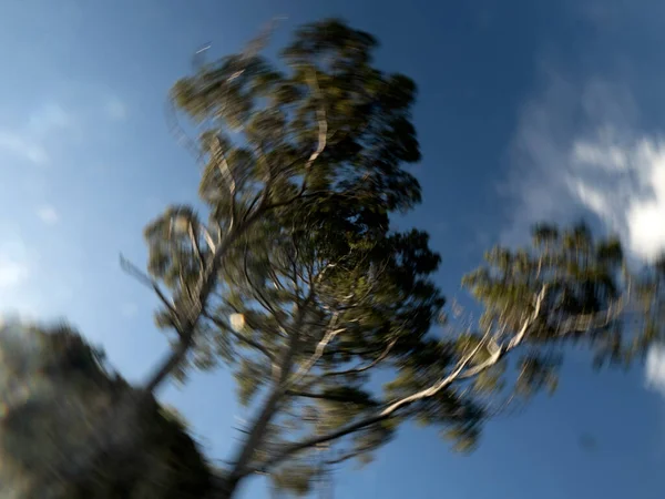 maritime pine portofino move effect twist camera