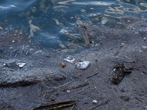 Çöp, plastik, çöp, kirli deniz.