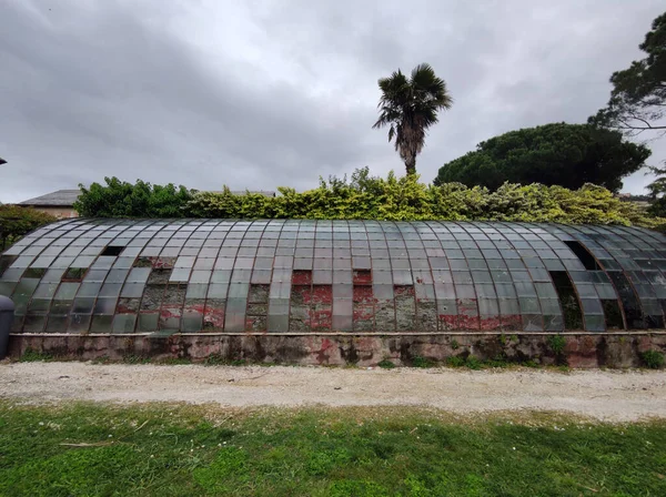 Old Abandoned Greenhouse Broken Glass Windows — Stock Photo, Image