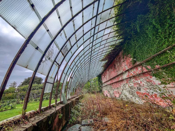 Vieilles Serres Abandonnées Fenêtres Verre Cassé — Photo