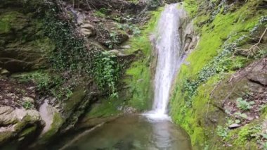 Yeşil yosun arkaplan ile küçük şelale