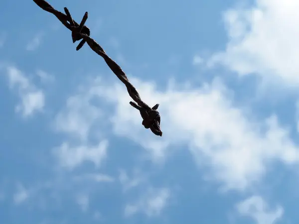 Arame Farpado Fundo Céu Nublado — Fotografia de Stock