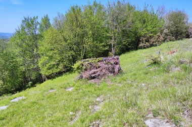 Eski dallar ve yapraklar av kulübesi