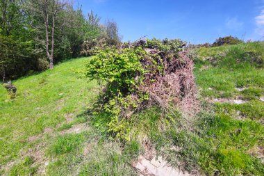 Eski dallar ve yapraklar av kulübesi