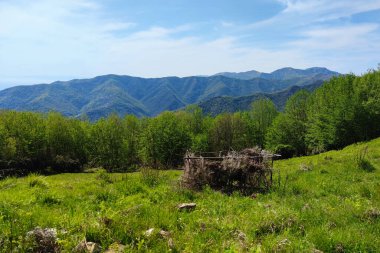 Eski dallar ve yapraklar av kulübesi