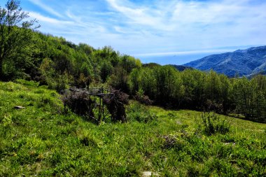 Eski dallar ve yapraklar av kulübesi