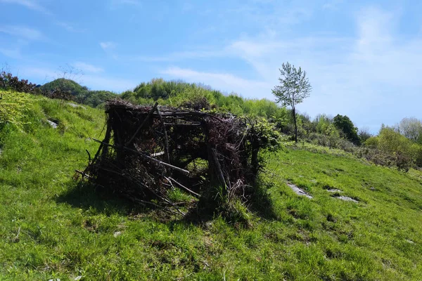 Old Branches Leaves Hunting Hut — Stock Photo, Image