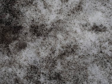 Eski dış mermer taş levha makro detayı kapatın.