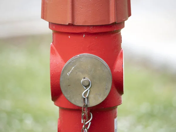 Hidrante Vermelho Isolado Detalhe Fundo Grama — Fotografia de Stock