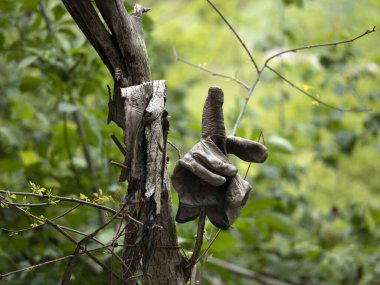 Ağaç dalında terk edilmiş eldiven