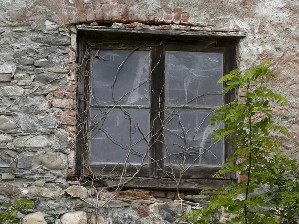 Murgröna Gamla Fönster Detalj — Stockfoto