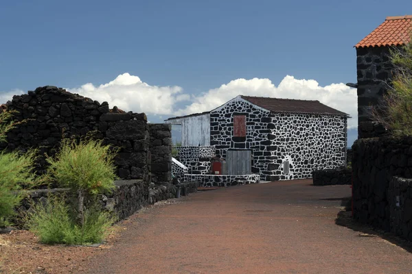 Lajido Village Île Pico Açores Lave Noire Maisons Fenêtres Rouges — Photo