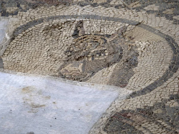Renowacja Starożytnej Rzymskiej Mozaiki Villa Del Casale Sycylia Włochy — Zdjęcie stockowe