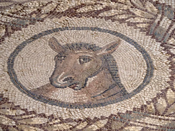 Antigo Mosaico Romano Villa Del Casale Sicília Itália — Fotografia de Stock