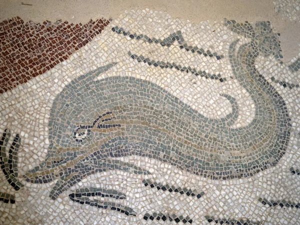 Starożytna Rzymska Mozaika Villa Del Casale Sycylia Włochy Delfin — Zdjęcie stockowe