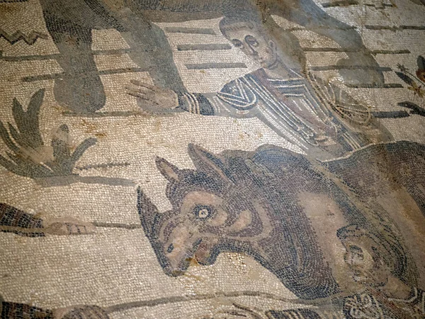 Starożytna Rzymska Mozaika Villa Del Casale Sycylia Włochy — Zdjęcie stockowe