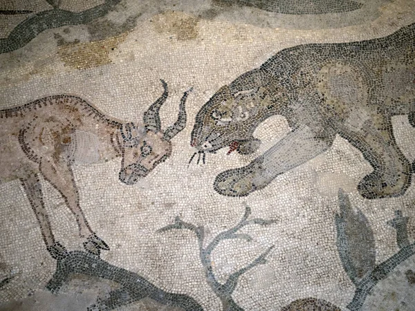 Antik Roma Mozaiği Villa Del Casale Sicilya Talya — Stok fotoğraf