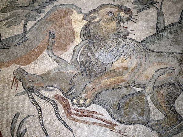 Antico Mosaico Romano Villa Del Casale Sicilia Italia — Foto Stock