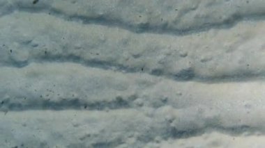 Turkuaz gölünde şnorkelle yüzerken suyun altında kum var.