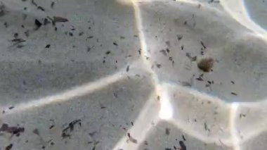 Turkuaz gölünde şnorkelle yüzerken suyun altında kum var.