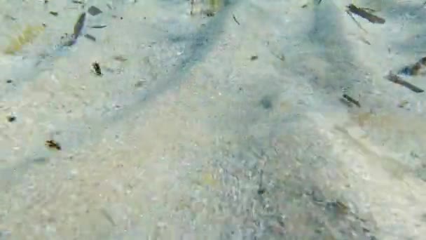 Zandbodem Onder Water Tijdens Het Snorkelen Turkoois Lagune — Stockvideo