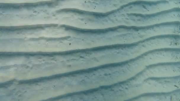 Fondo Arena Bajo Agua Mientras Bucea Laguna Turquesa — Vídeo de stock