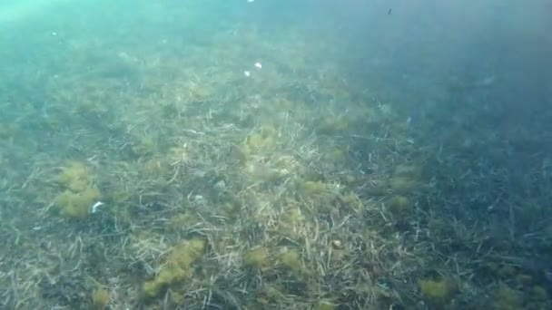 Βυθός Άμμου Κάτω Από Νερό Ενώ Ψαροντούφεκο Τυρκουάζ Λιμνοθάλασσα — Αρχείο Βίντεο