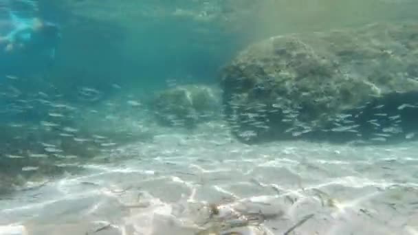 Fondo Arena Bajo Agua Mientras Bucea Laguna Turquesa — Vídeo de stock