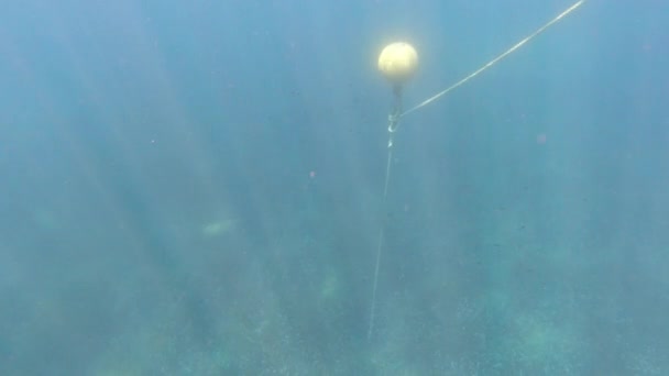 Poissons Lors Plongée Apnée Dans Mer Méditerranée Sicilienne Paysage Sous — Video