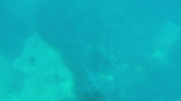 Pesci Durante Snorkeling Sicilia Mediterraneo Paesaggio Subacqueo Sicilia — Video Stock