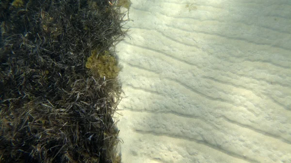 Fundo Areia Subaquática Enquanto Snorkeling Lagoa Turquesa — Fotografia de Stock