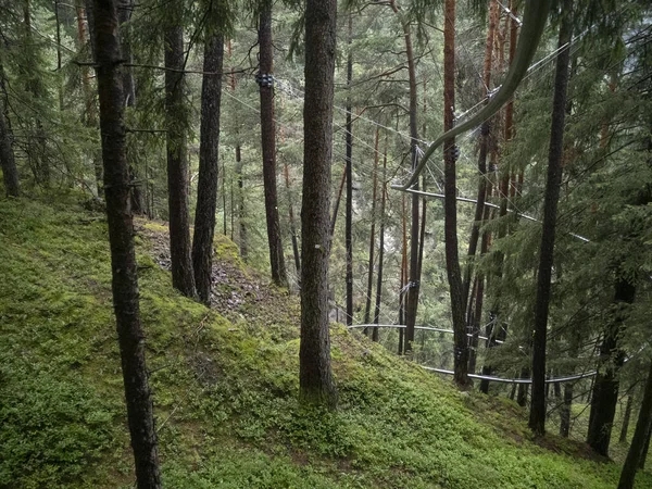 Zipline Dans Forêt Traversant — Photo