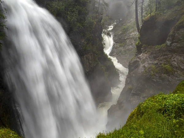 Riva Foresta Cade Trentino Alto Adige Italia Vista — Foto Stock