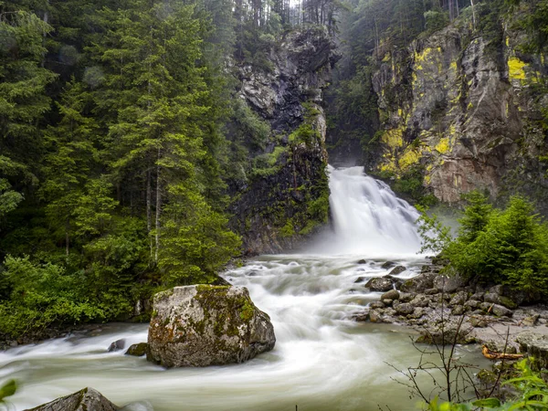 Riva Foresta Cade Trentino Alto Adige Italia Vista — Foto Stock