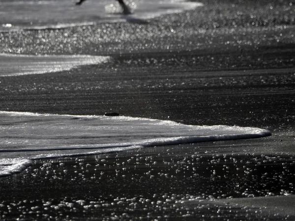 Pianka Morska Plaży Piaskowej Szczegół — Zdjęcie stockowe