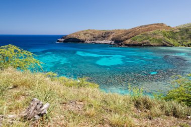 Hawaii oahu hanauma bay görünümü