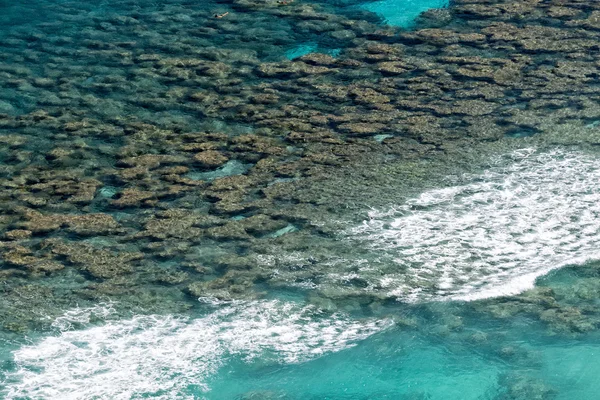 Гаваї Оаху hanauma bay view — стокове фото