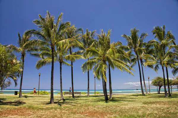 Panorama plajei Waikiki — Fotografie, imagine de stoc