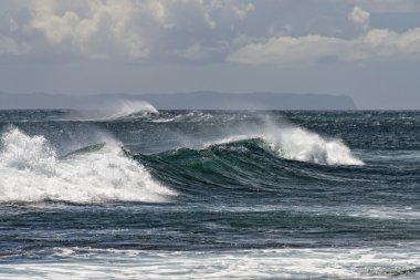 美しいフレンドリーな女の子ポインティング転送