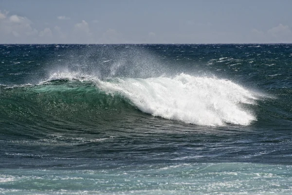 Тихоокеанские волны на берегу — стоковое фото