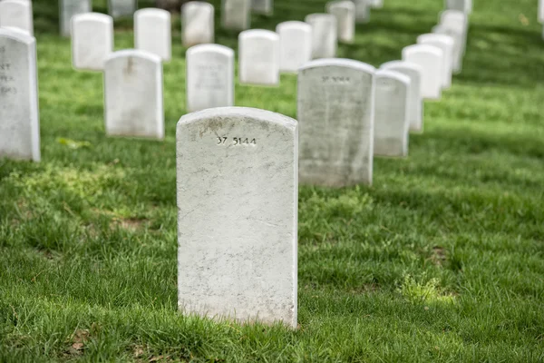 Arlington cemetery graveyard — Stock Photo, Image