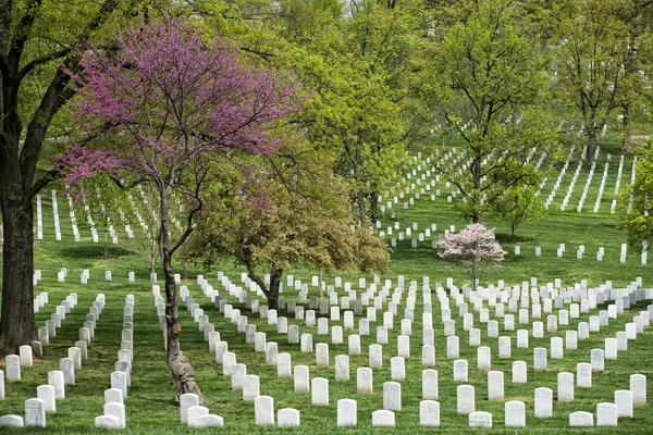 Arlington kyrkogården kyrkogårdアーリントンの墓地の墓地 — Stockfoto