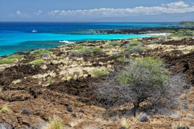 Big Island hawaii lav ve deniz