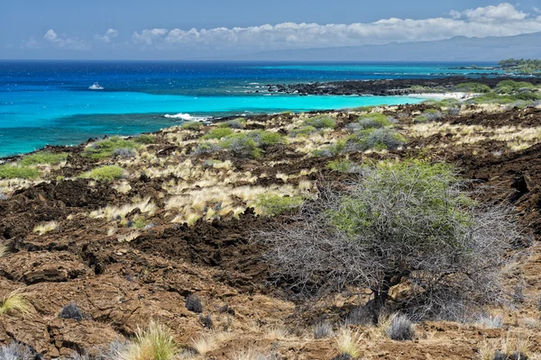 Big island hawaii lava and sea — Stock Photo, Image