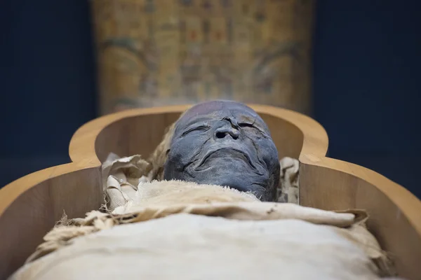 Egyptian mummy — Stock Photo, Image