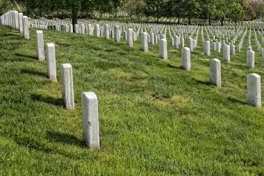 Arlington mezarlığı mezarlık