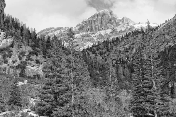 Dolomitas Pordoi Montaña Alpes Vista enorme —  Fotos de Stock