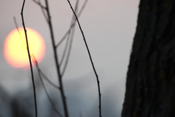 Západ slunce na zimní čas — Stock fotografie